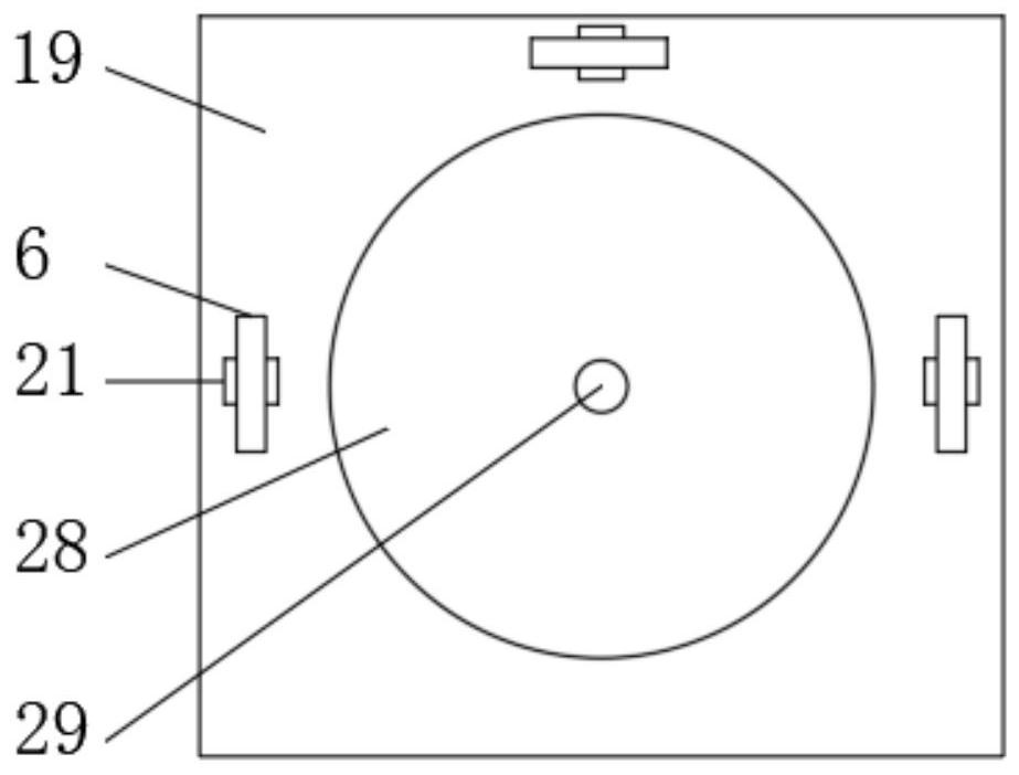 Day lily cleaning and impurity removing device