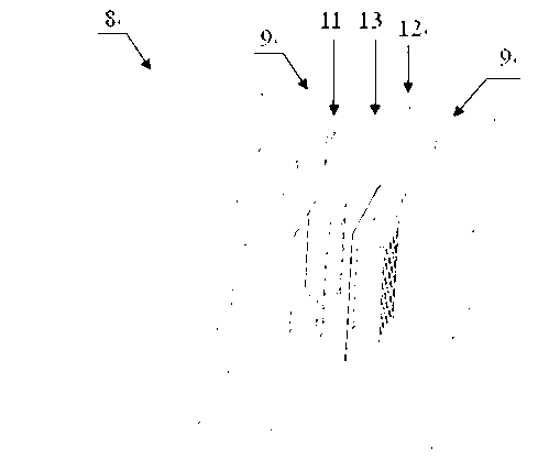 Polar plate-free micro-methanol fuel cell membrane electrode and preparation method thereof