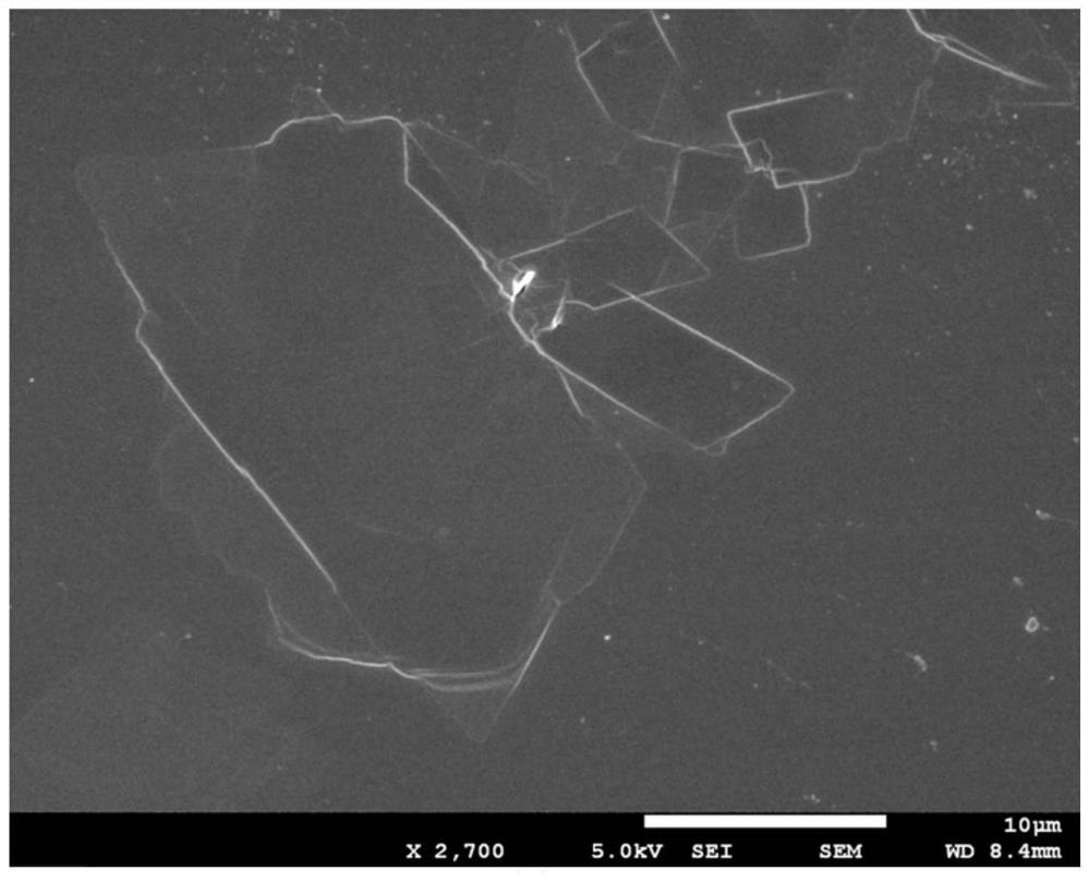 A kind of thermoplastic vulcanized rubber nanocomposite material and preparation method thereof