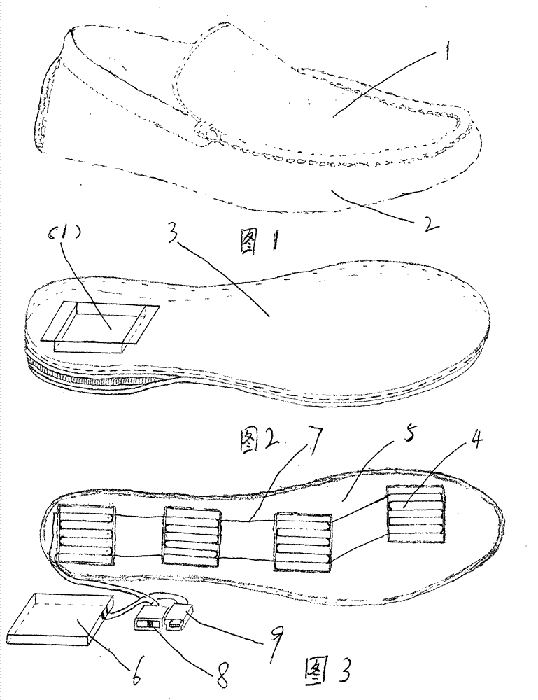 Micro-electrical heating shoe