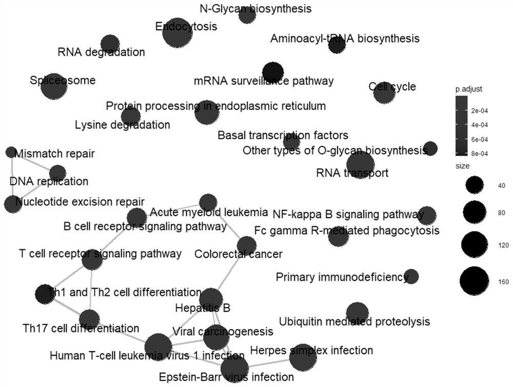 A method for screening pivotal genes and key signaling pathways of perfluorooctane sulfonate toxicity using transcriptomics