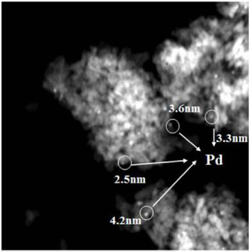 A kind of in-situ regeneration method of PD catalyst for CO dehydrogenation purification