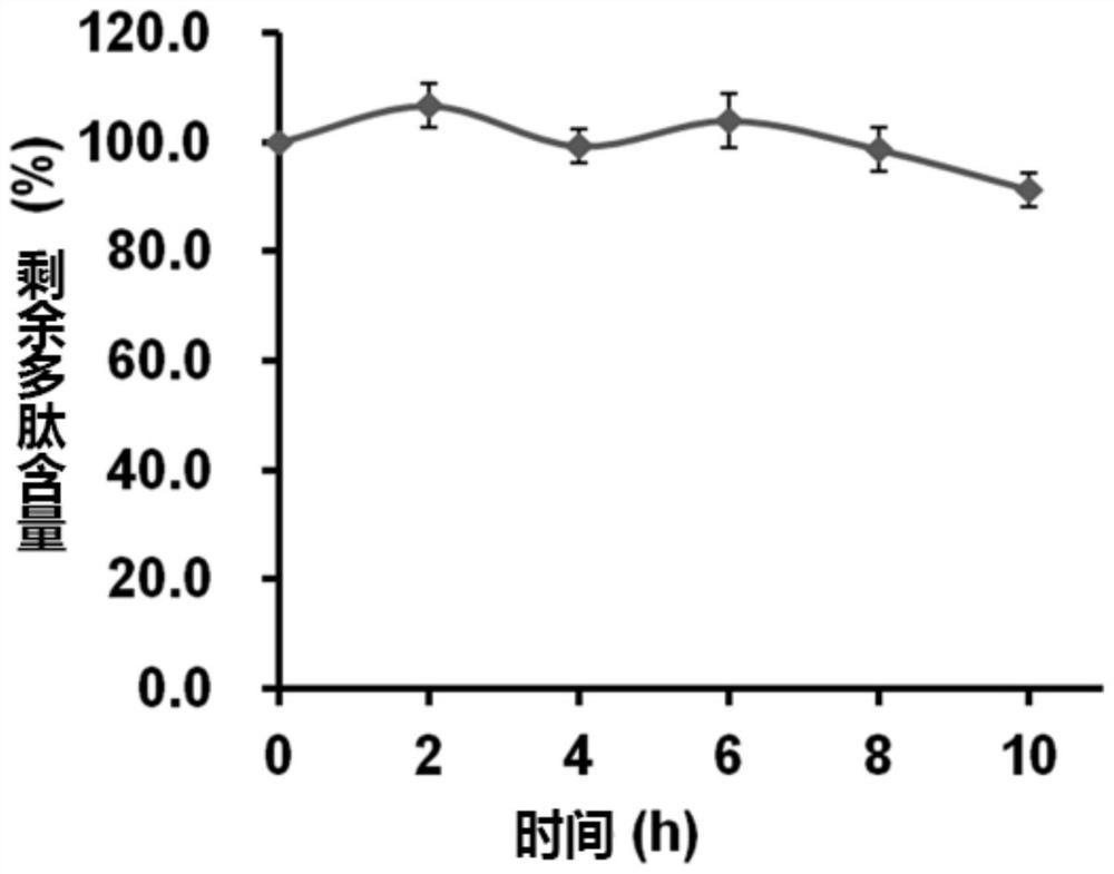 Skin repair promoting peptide as well as preparation method and application thereof