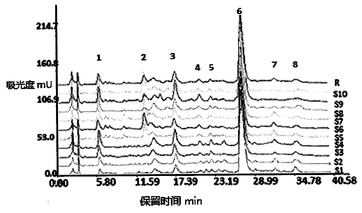 Use of a safflower extract with clear spectrum-effect relationship