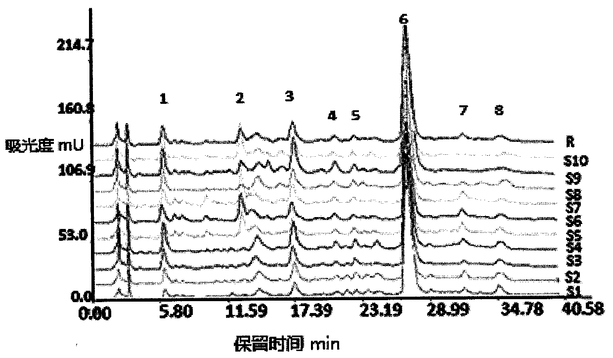 Use of a safflower extract with clear spectrum-effect relationship