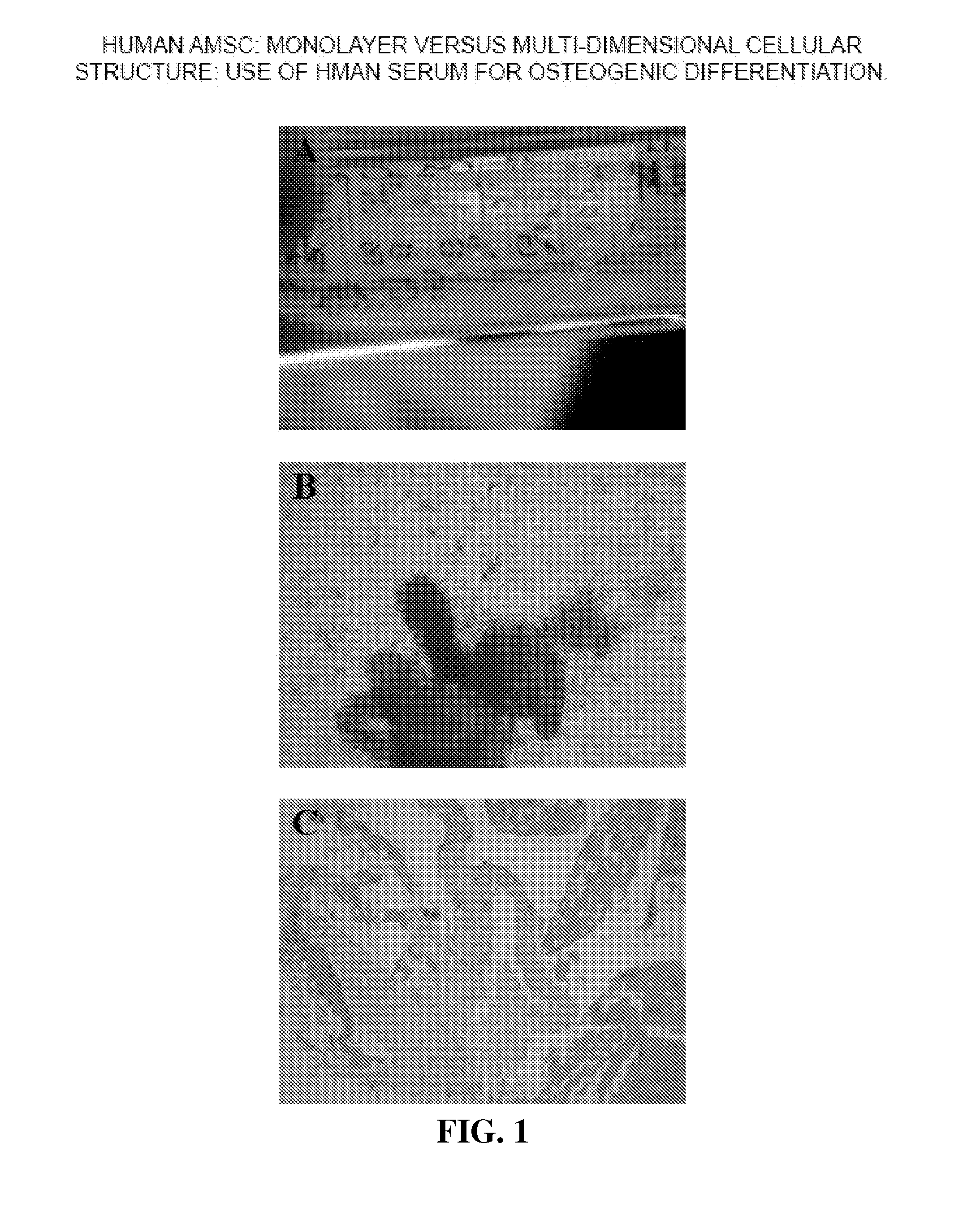 Multi-Dimensional Biomaterial and Method for Producing the Same