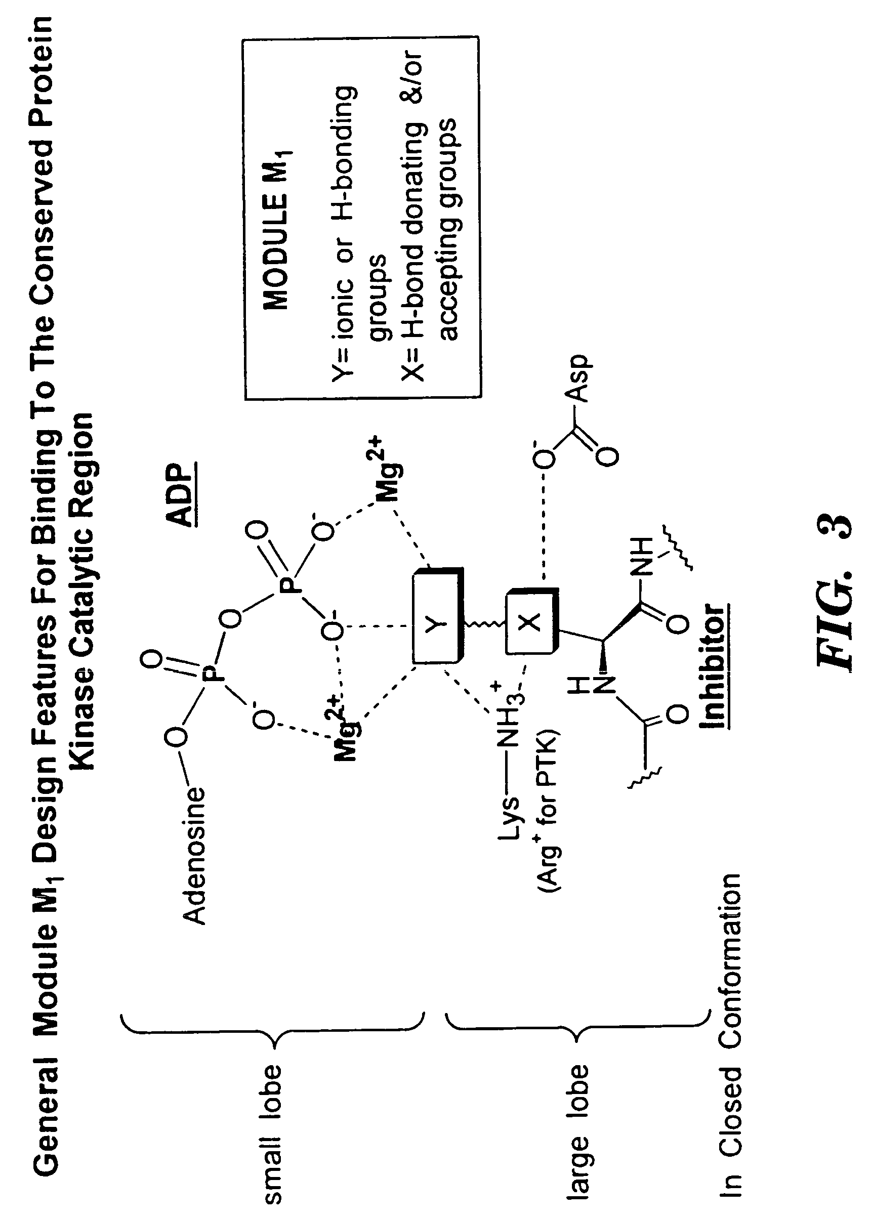 Bicyclic compositions and methods for modulating a kinase cascade