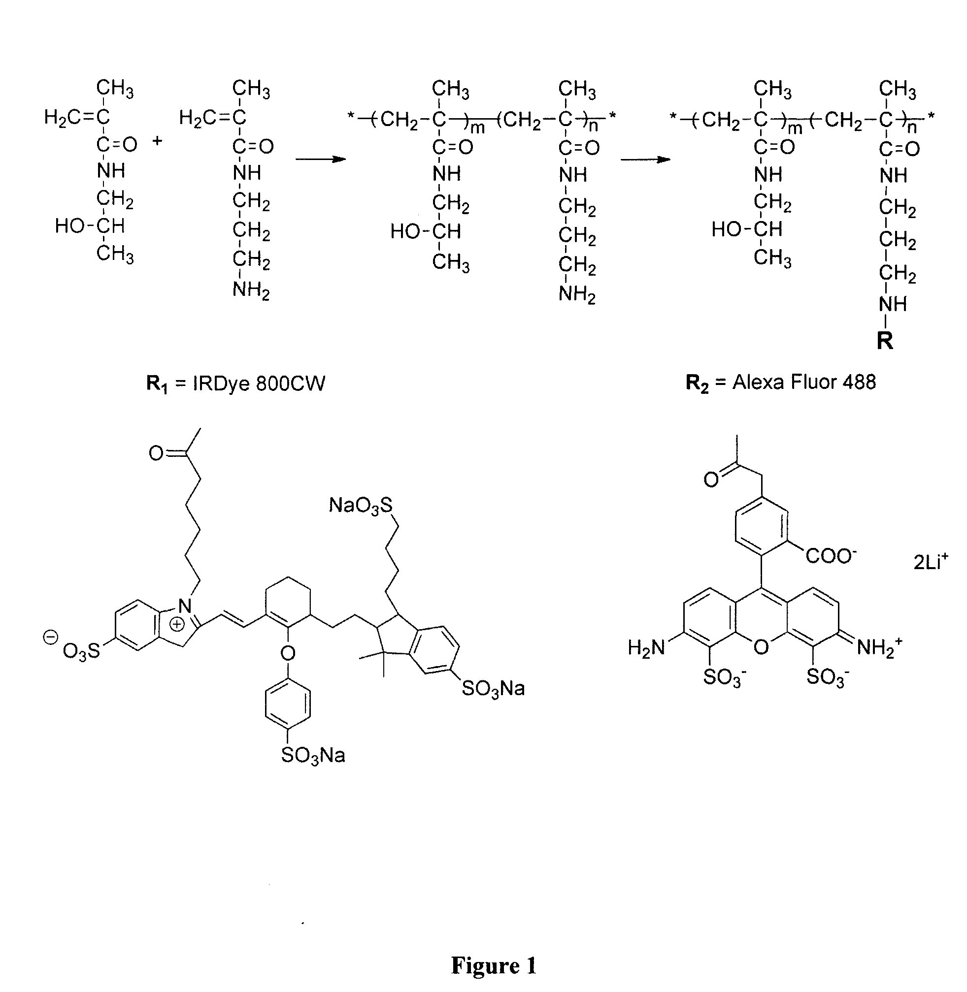 Compositions and Methods for Detecting and Treating Implant Loosening and Osteolysis