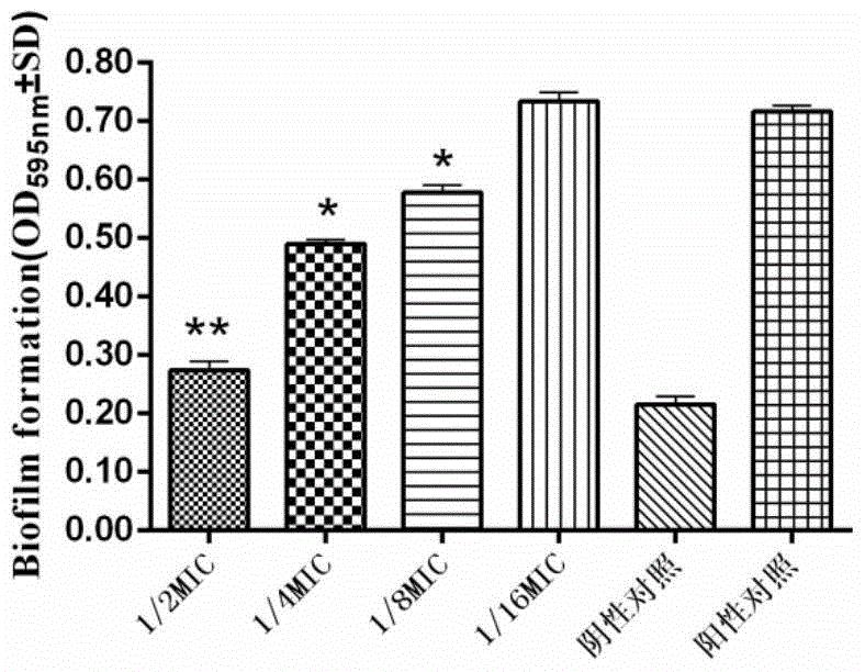 Application of rhubarb monomer in preparation of inhibiting Streptococcus suis or intervening Streptococcus suis biofilm