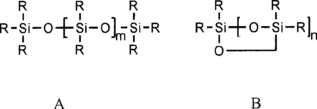 Aqueous composition of organo-silicone with amido group functionalization