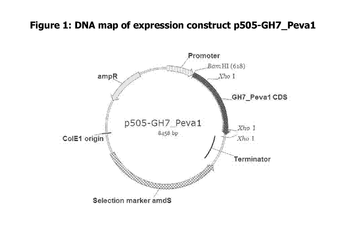 Polypeptides Having Cellobiohydrolase Activity And Polynucleotides Encoding Same