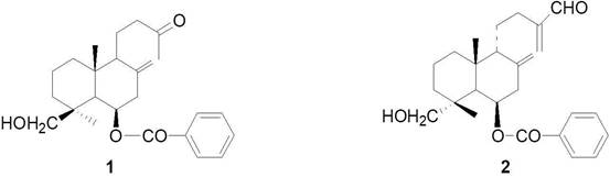 Two Libadang diterpenoids, their extraction methods and applications