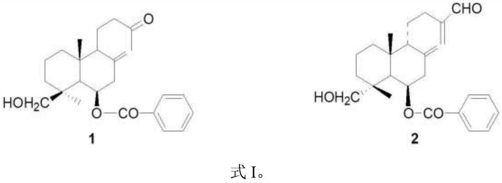 Two Libadang diterpenoids, their extraction methods and applications