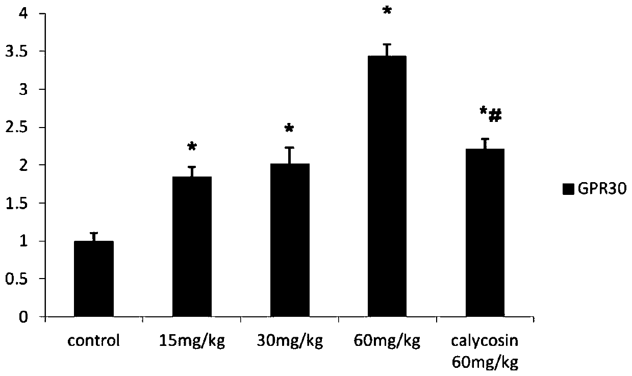 Application of Calycosin Derivatives in Preparation of Drugs for Treating Cerebral Ischemia-Reperfusion Injury