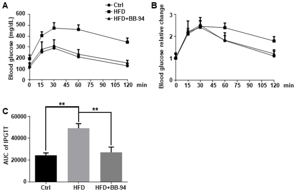 Application of Baatimatat to preparation of medicine for preventing and treating obesity and secondary bone loss