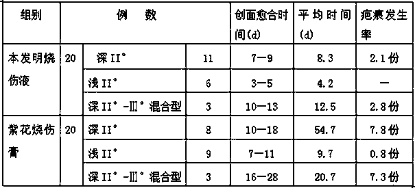 Burn tincture and preparation method thereof