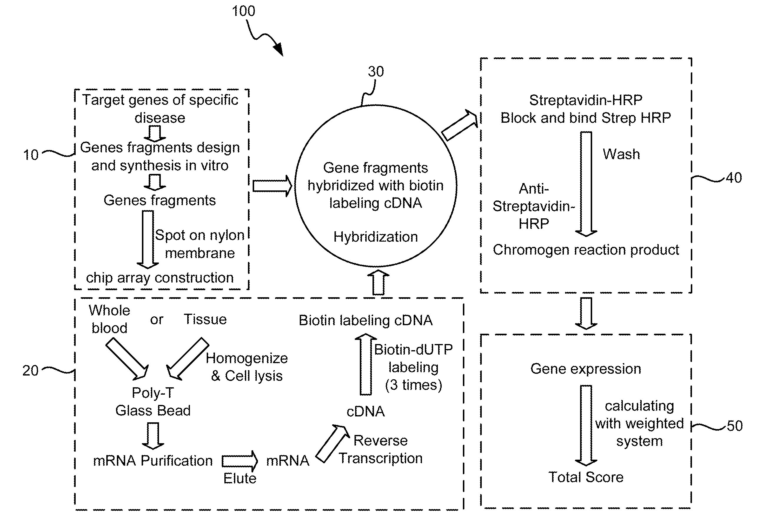 Gene Cluster Diagnosis Apparatus