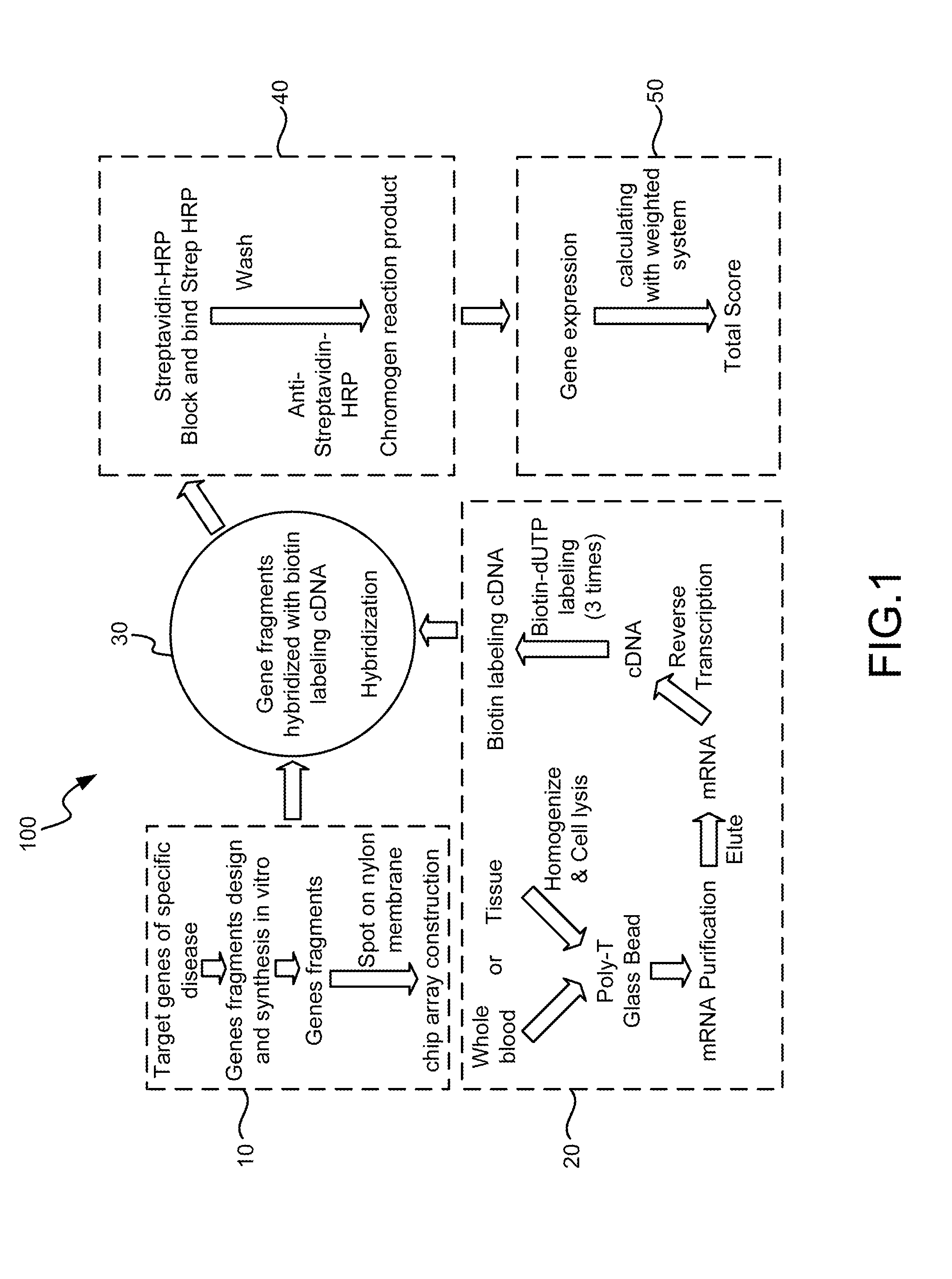 Gene Cluster Diagnosis Apparatus