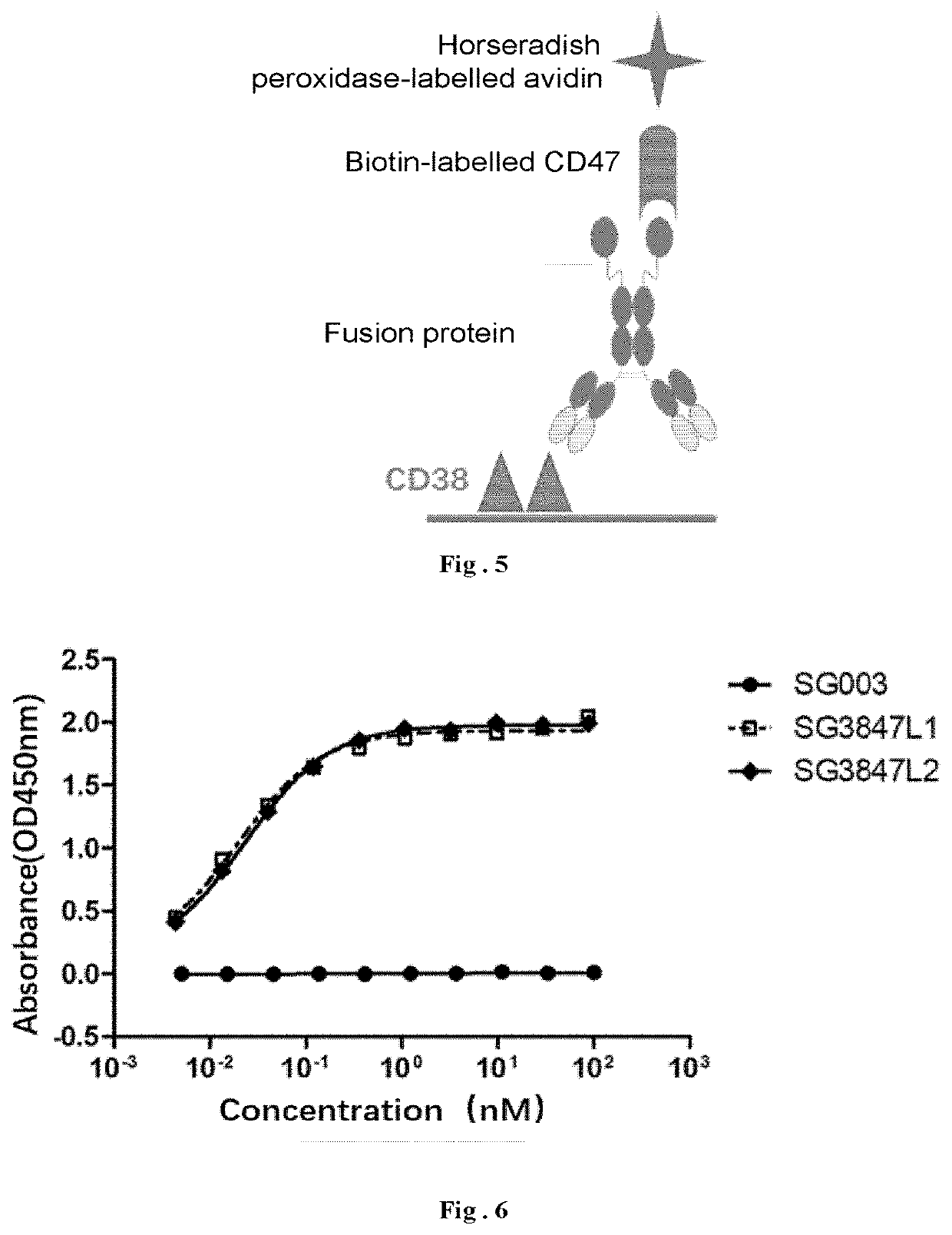 Fusion protein and use thereof