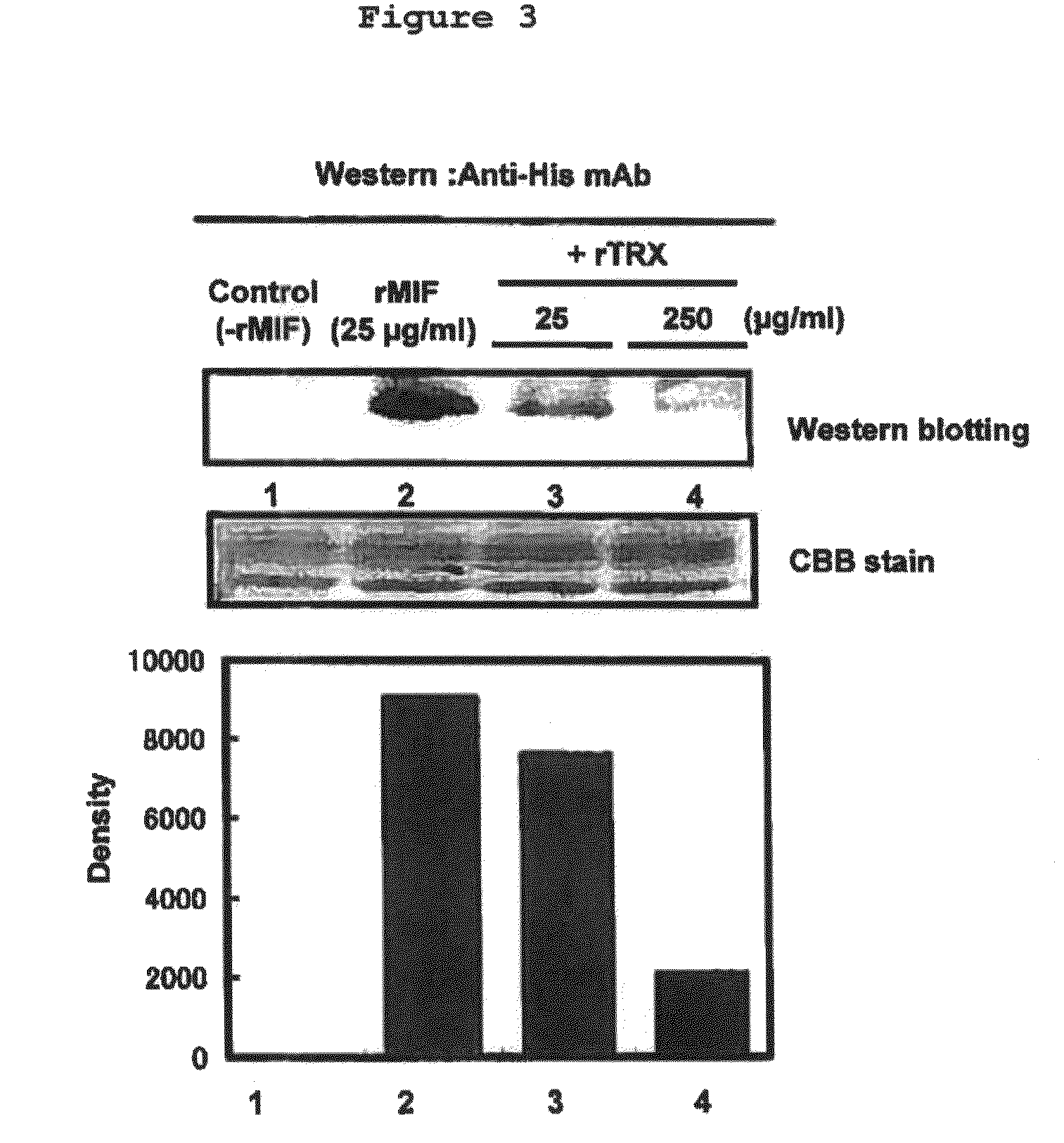 Screening method, a composition comprising substances chosen in the method thereof, and a binding substance