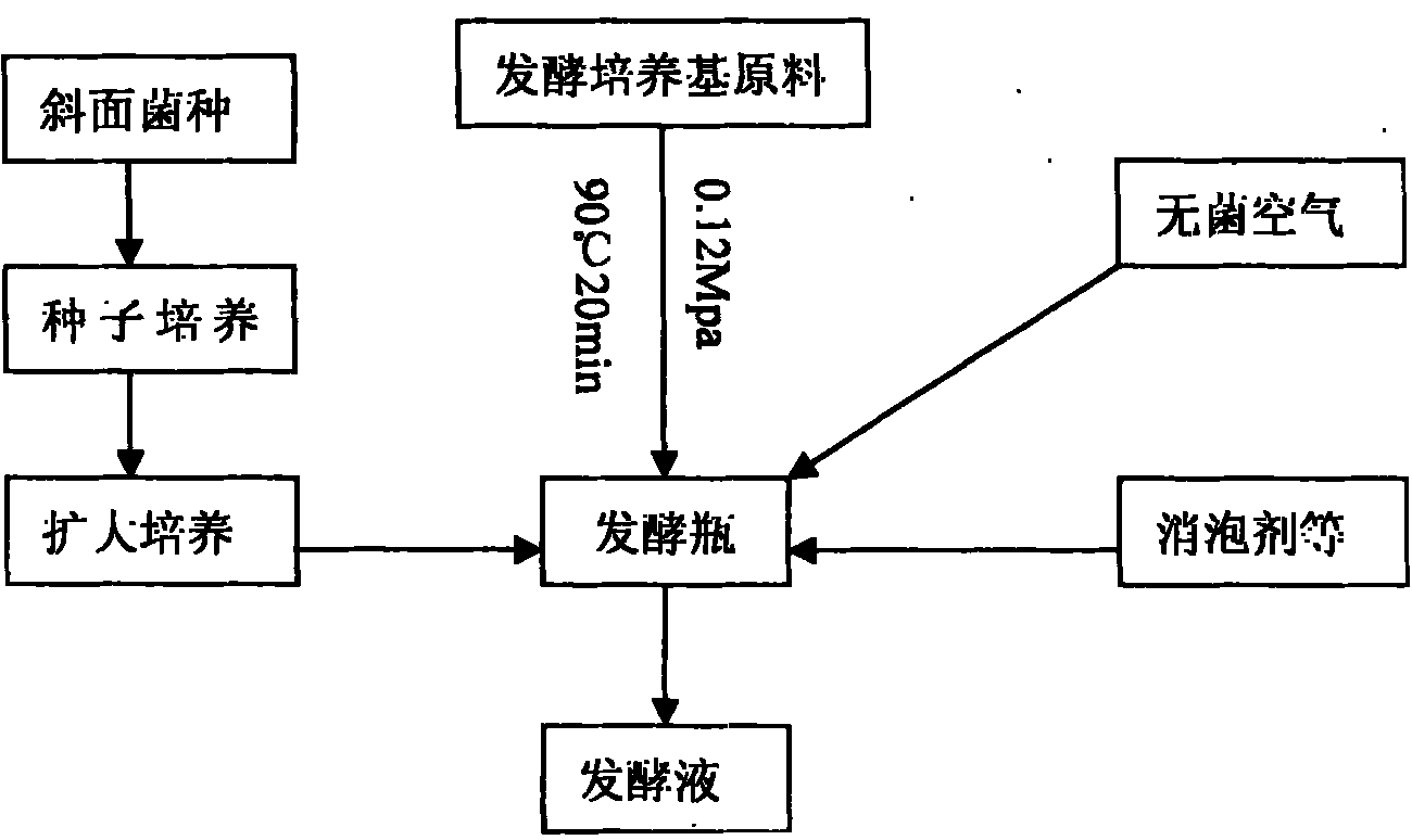 Process for preparing bacillus subtilis alkali proteinase with microorganism zymotechnics