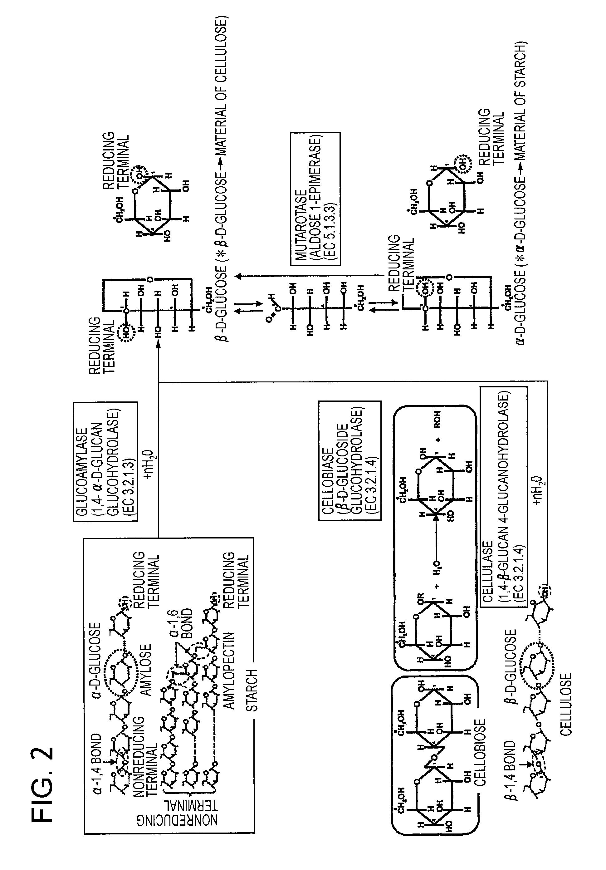Fuel cell, electronic device, movable body, power generation system, and congeneration system