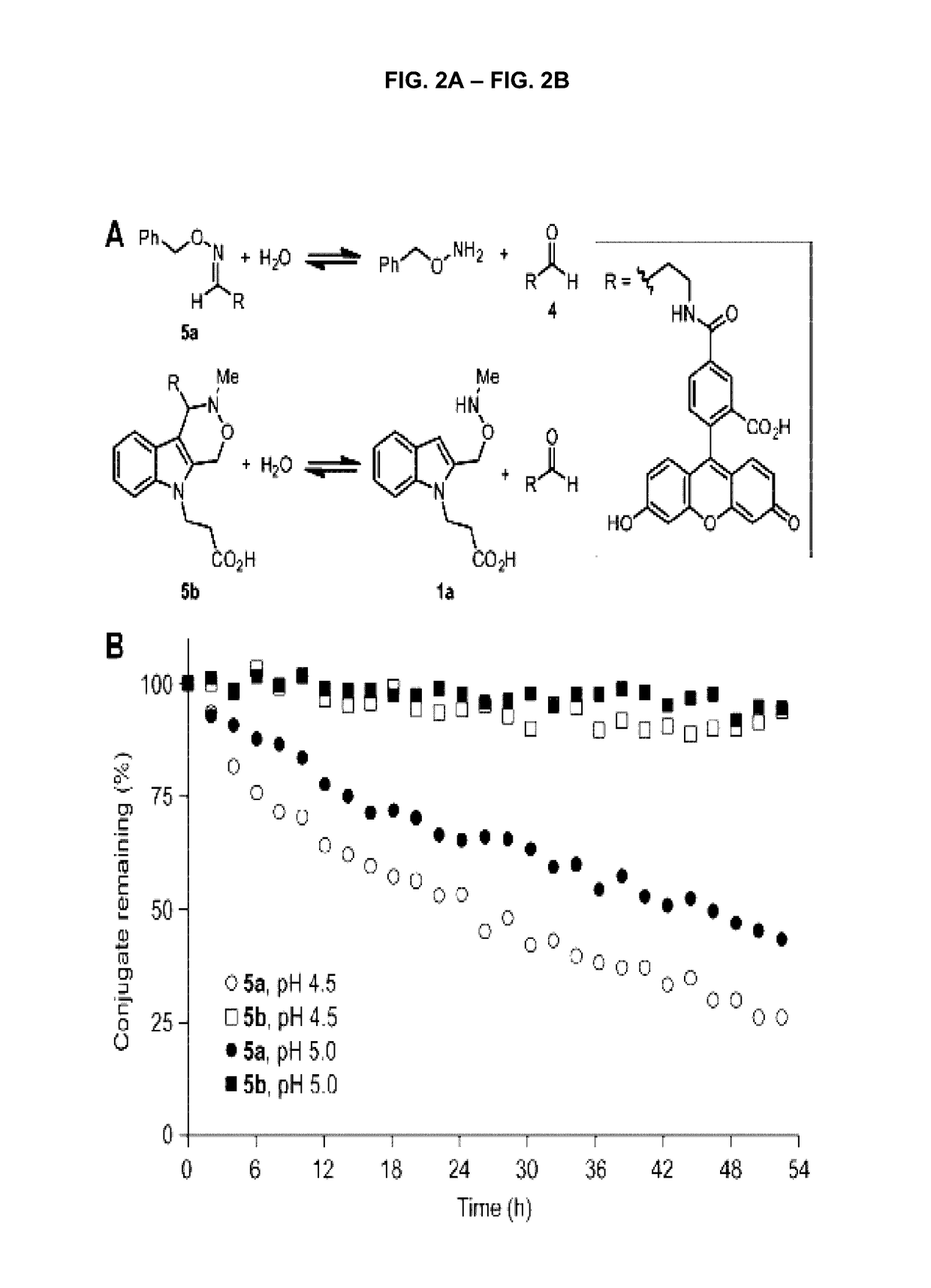 Pictet-Spengler ligation for protein chemical modification