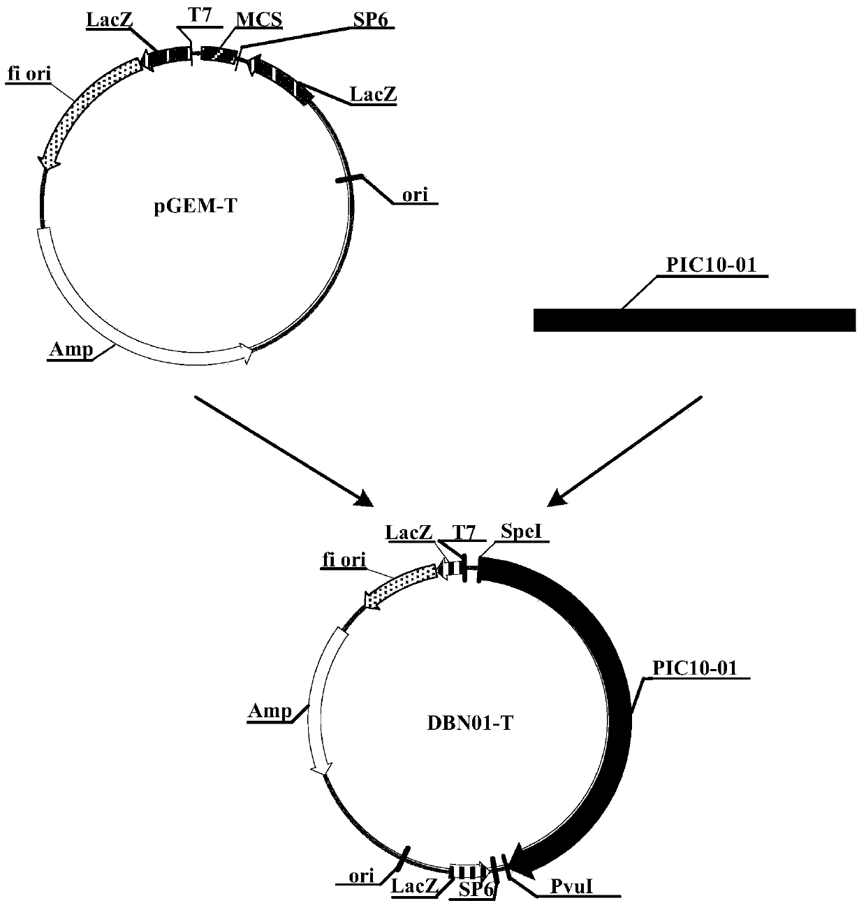 Insecticidal protein, and encoding gene and use thereof