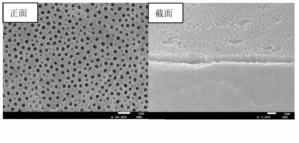 Transfer method of ultrathin porous aluminum oxide template