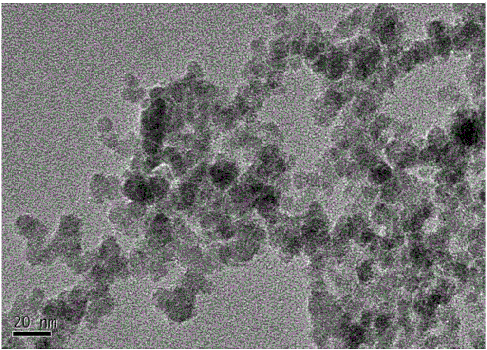 Fluidized bed chemical vapor deposition preparation method of silicon carbide nanoparticle