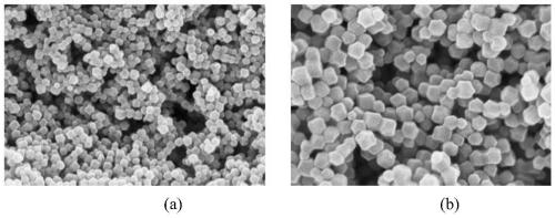 ZIF-8 nanoparticles coated with anti-aging drug and application of ZIF-8 nanoparticles