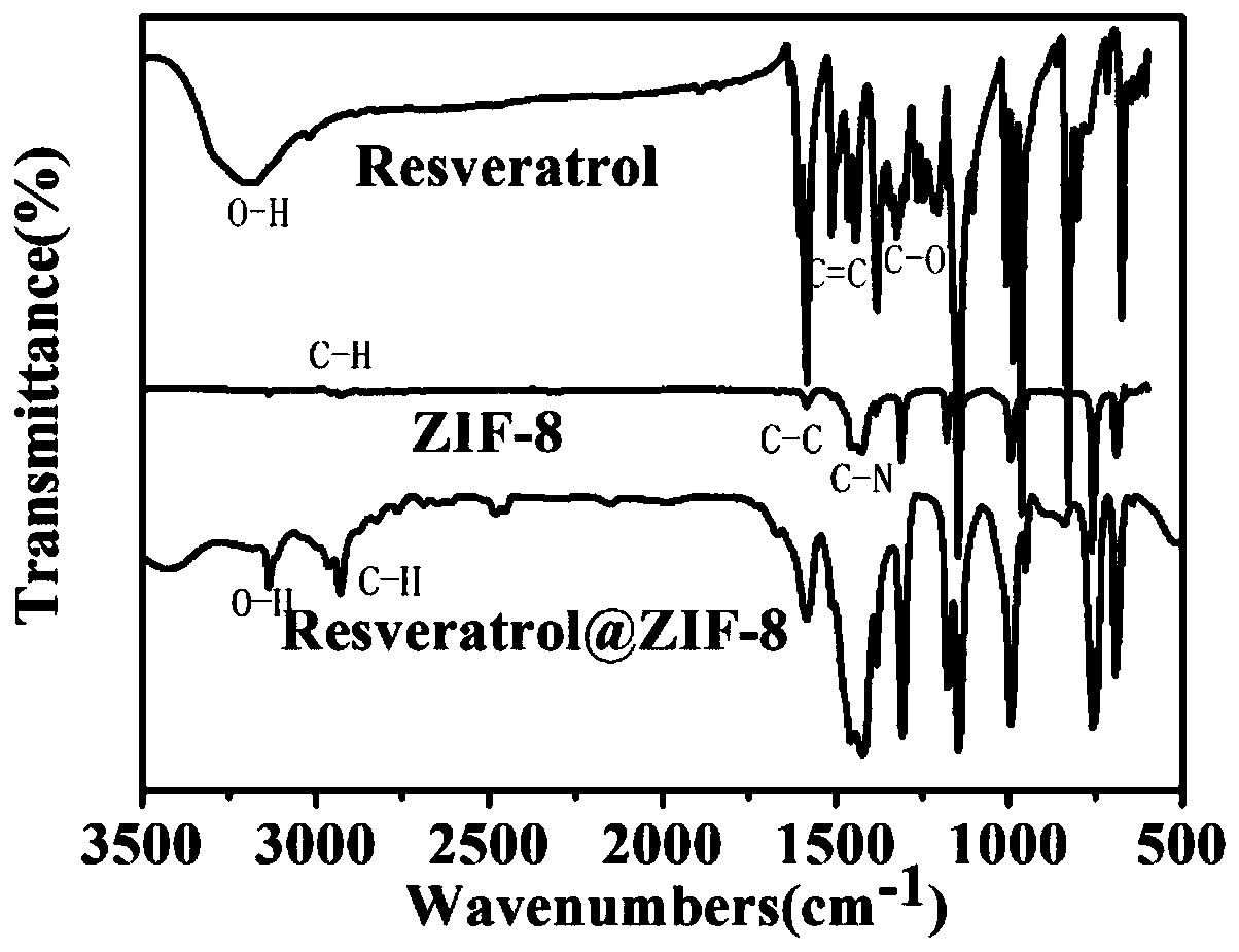 ZIF-8 nanoparticles coated with anti-aging drug and application of ZIF-8 nanoparticles