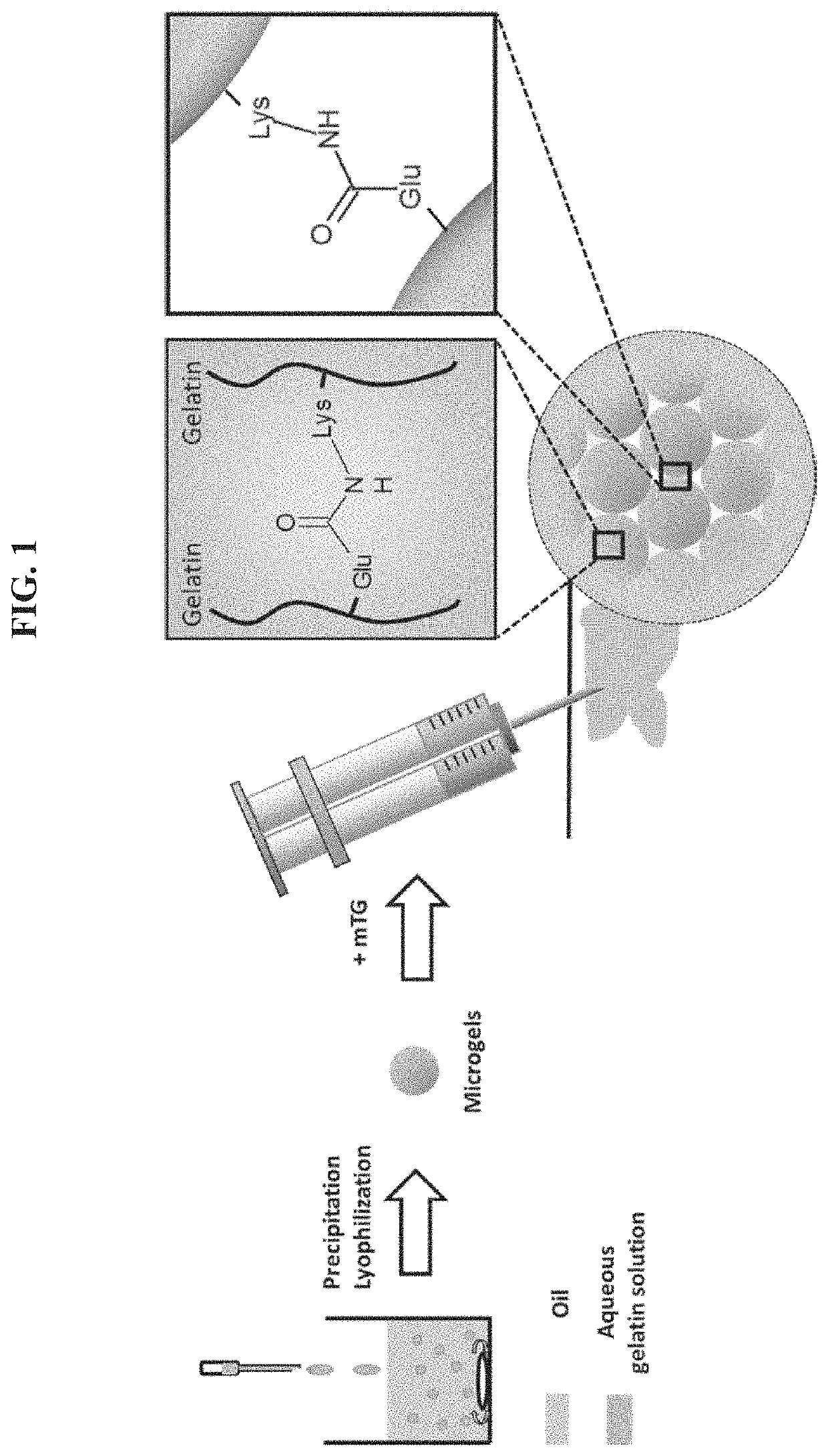 Injectable porous hydrogels