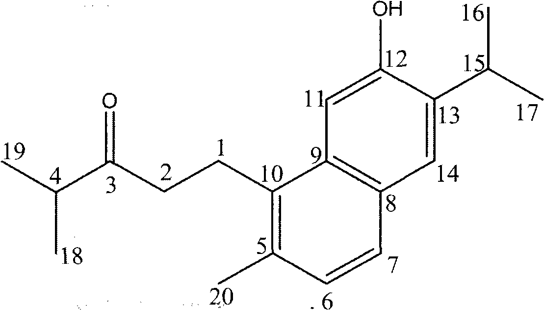 Method for biosynthesizing abietane diterpenoid compounds by using cephalotaxus fortune culture cells
