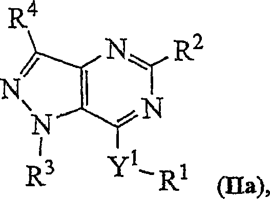Novel bicyclic heterocyclic compounds, process for their preparation and compositions containing them