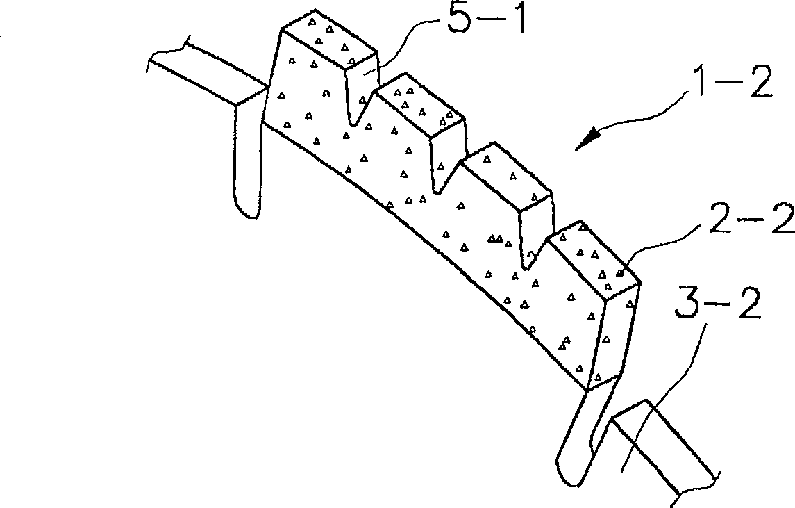 Gear type machining tip and tool attaching the same thereon