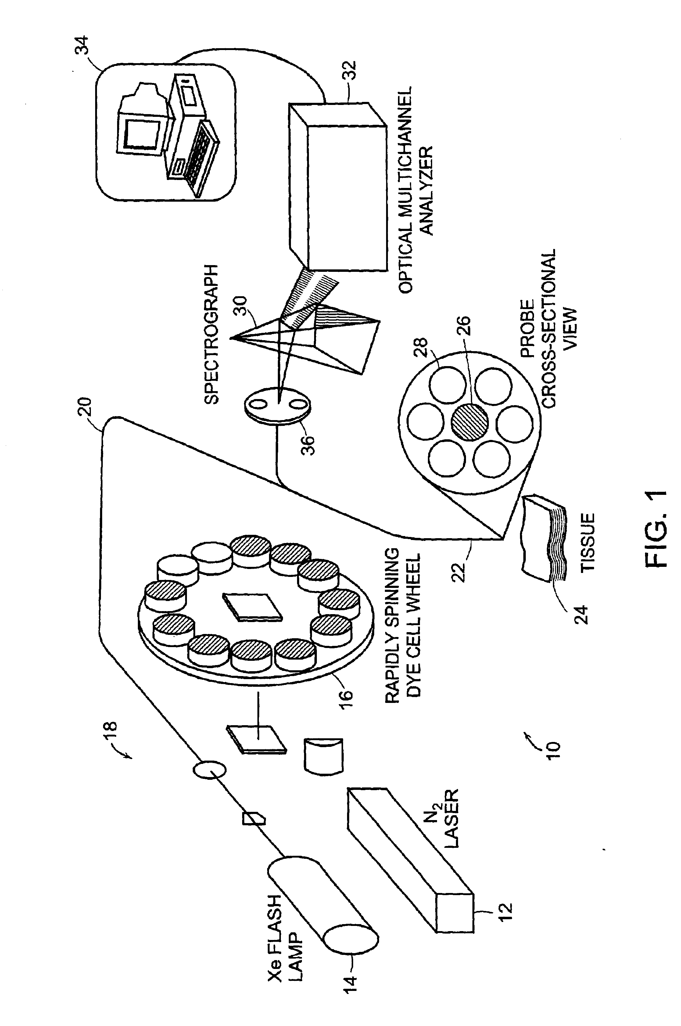 System and methods of fluorescence, reflectance and light scattering spectroscopy for measuring tissue characteristics