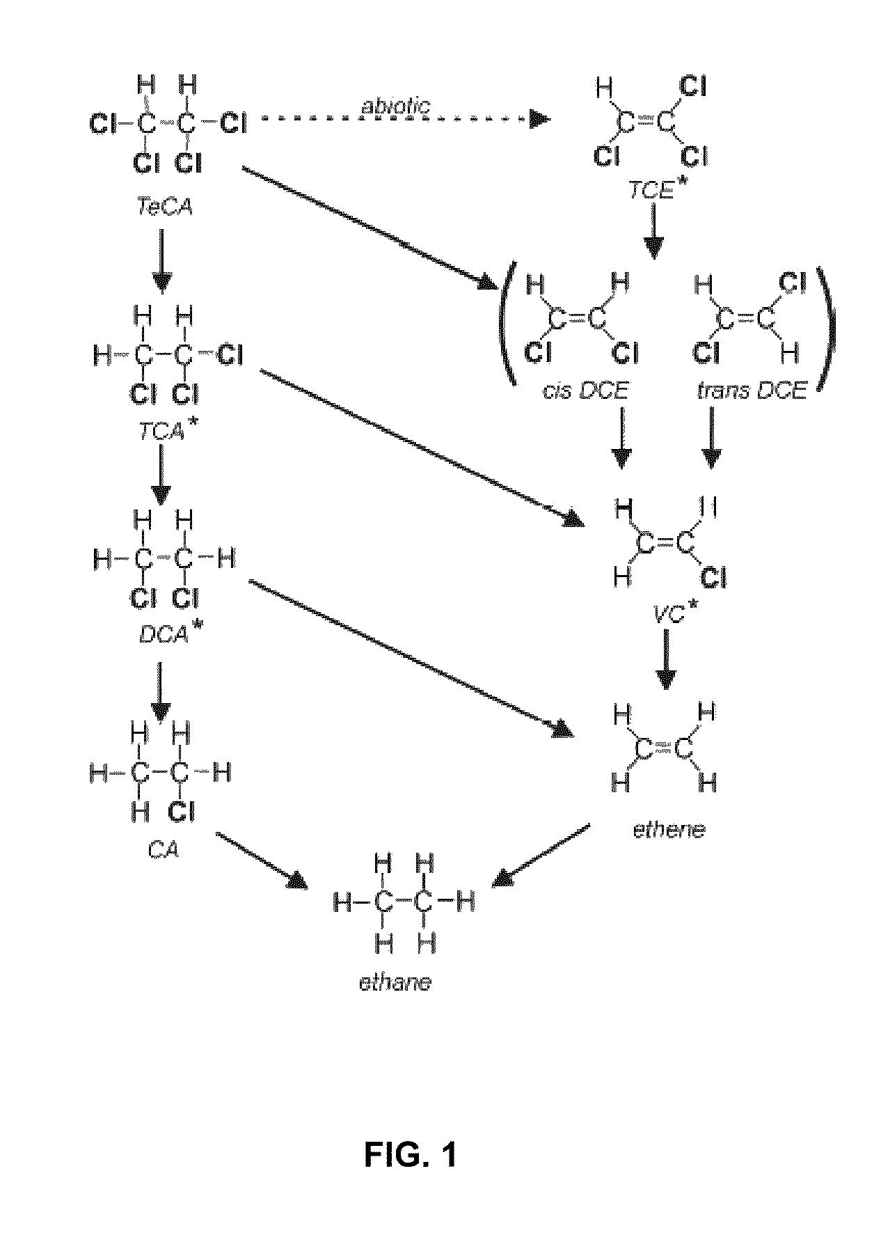 Anaerobic microbial composition and methods of using same