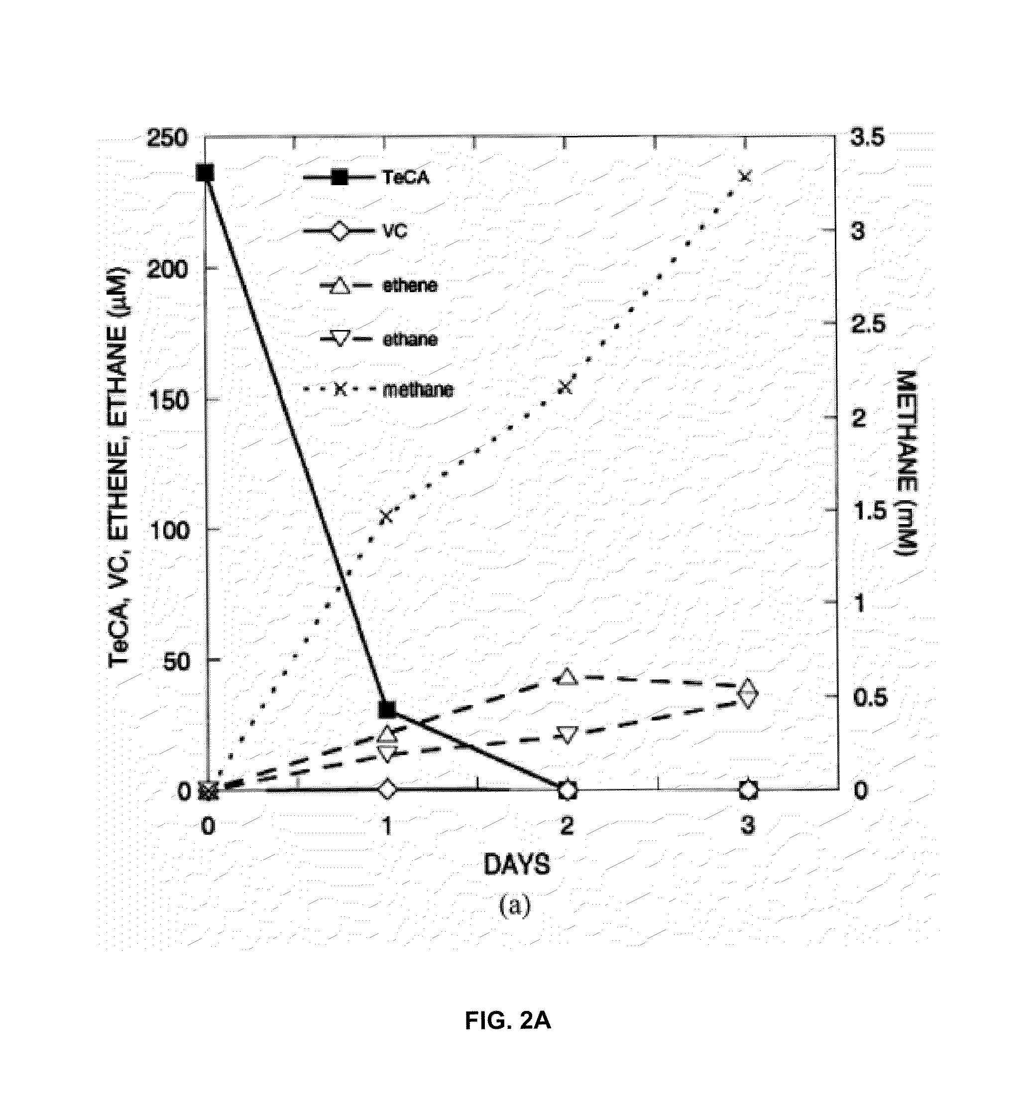 Anaerobic microbial composition and methods of using same