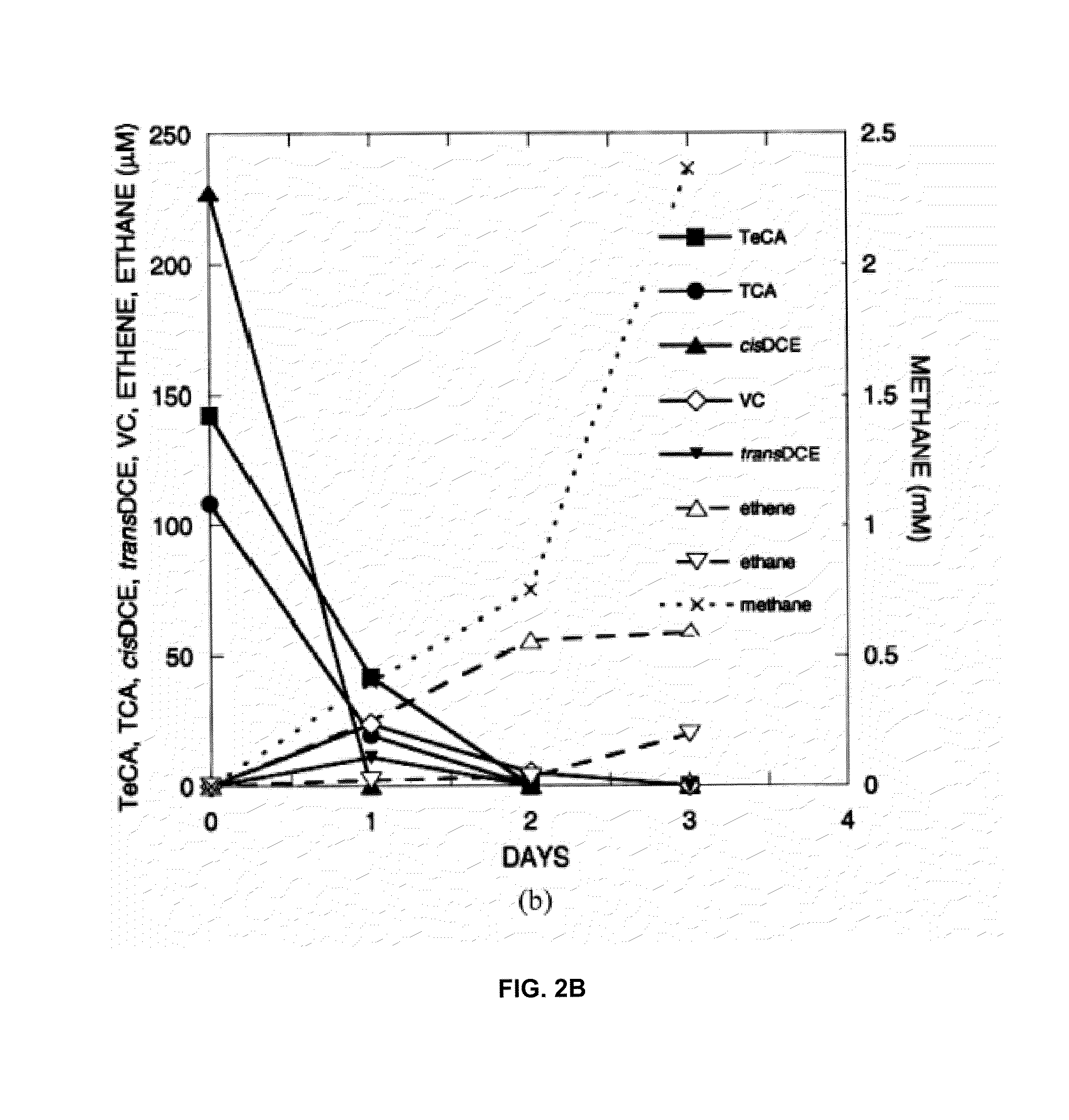 Anaerobic microbial composition and methods of using same