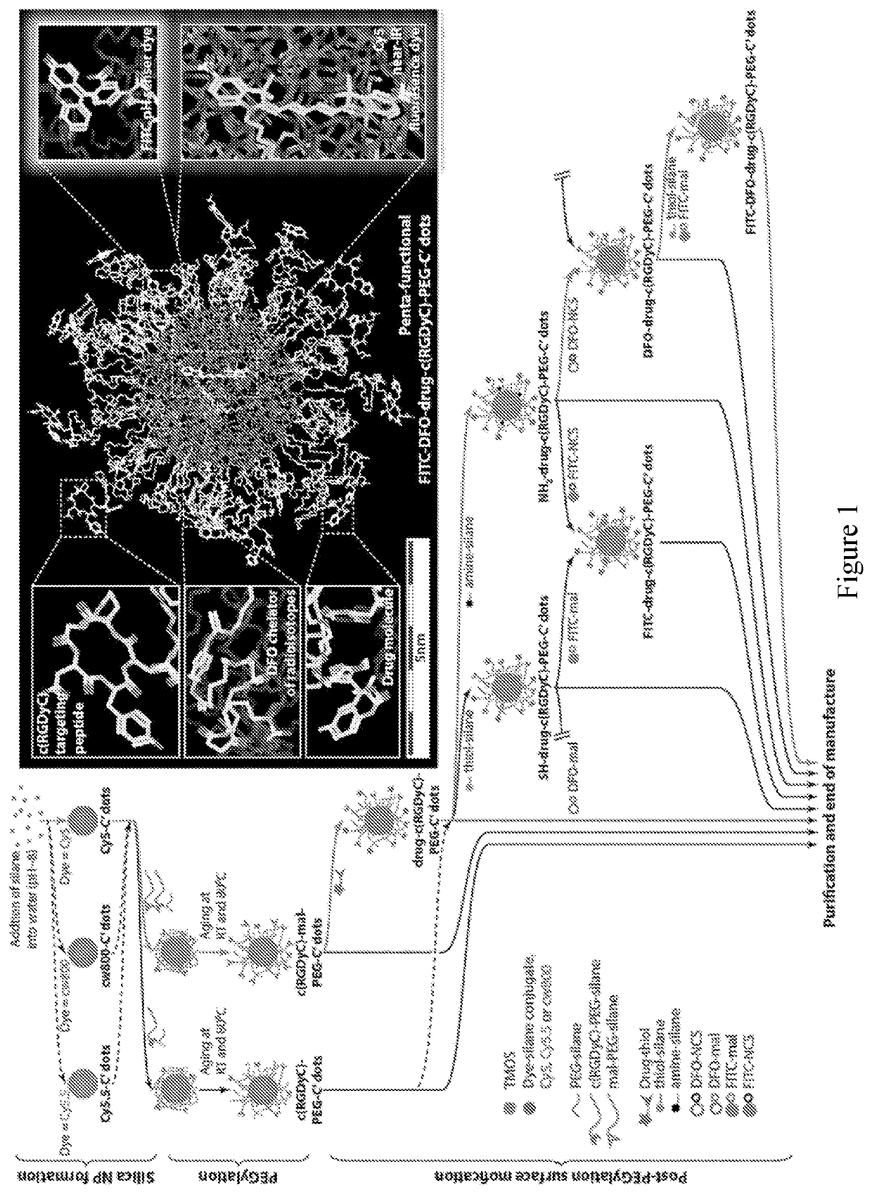 Functionalized nanoparticles and methods of making and using same