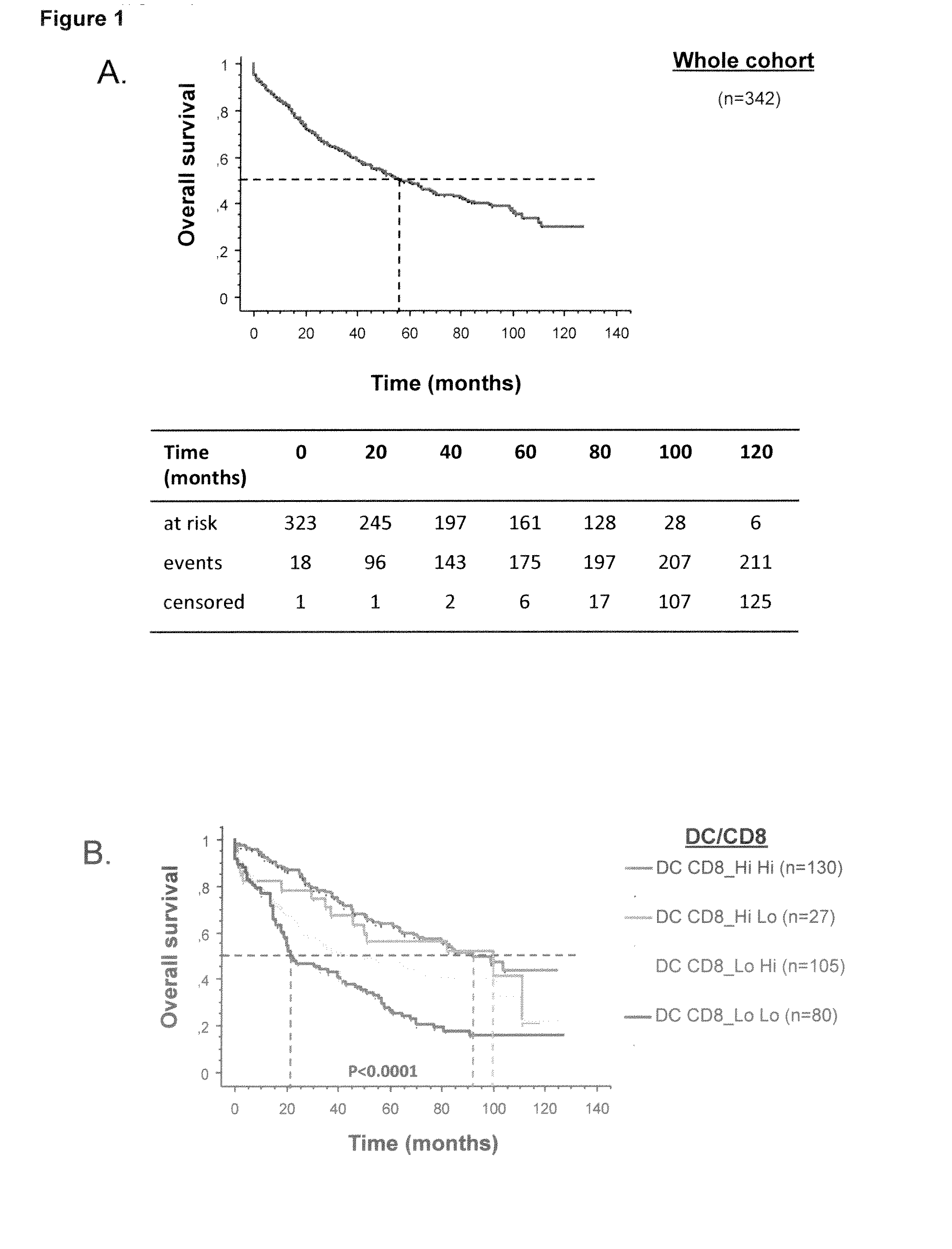 Method for the Prognosis of Survival Time of a Patient Suffering from a Solid Cancer