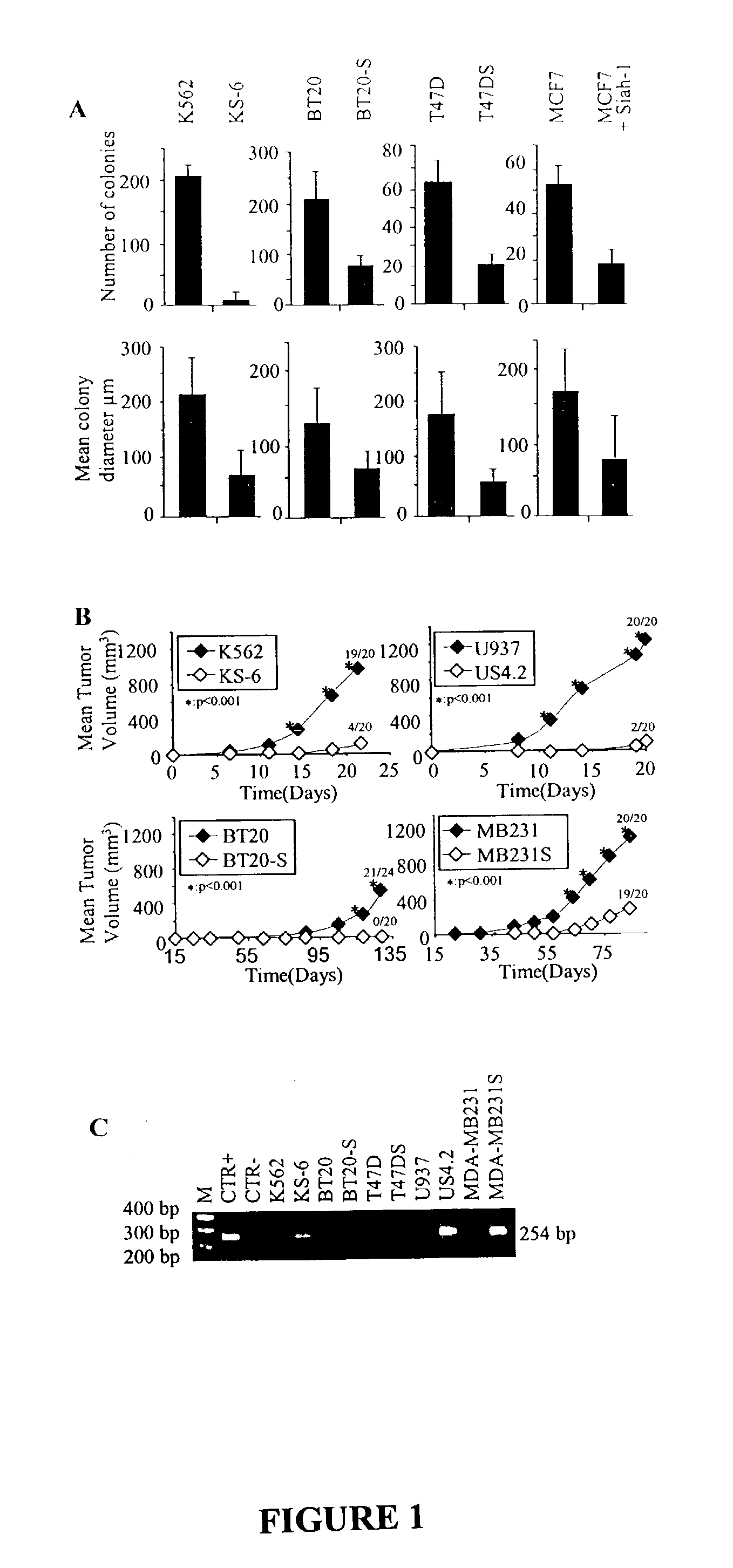 Compositions and methods for the treatment of cancer
