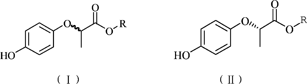 Preparation method for R-2-(4- hydroxyphenoxy) propionate