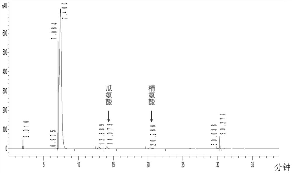 Engineering bacteria producing guanidinoacetic acid and its construction method and application