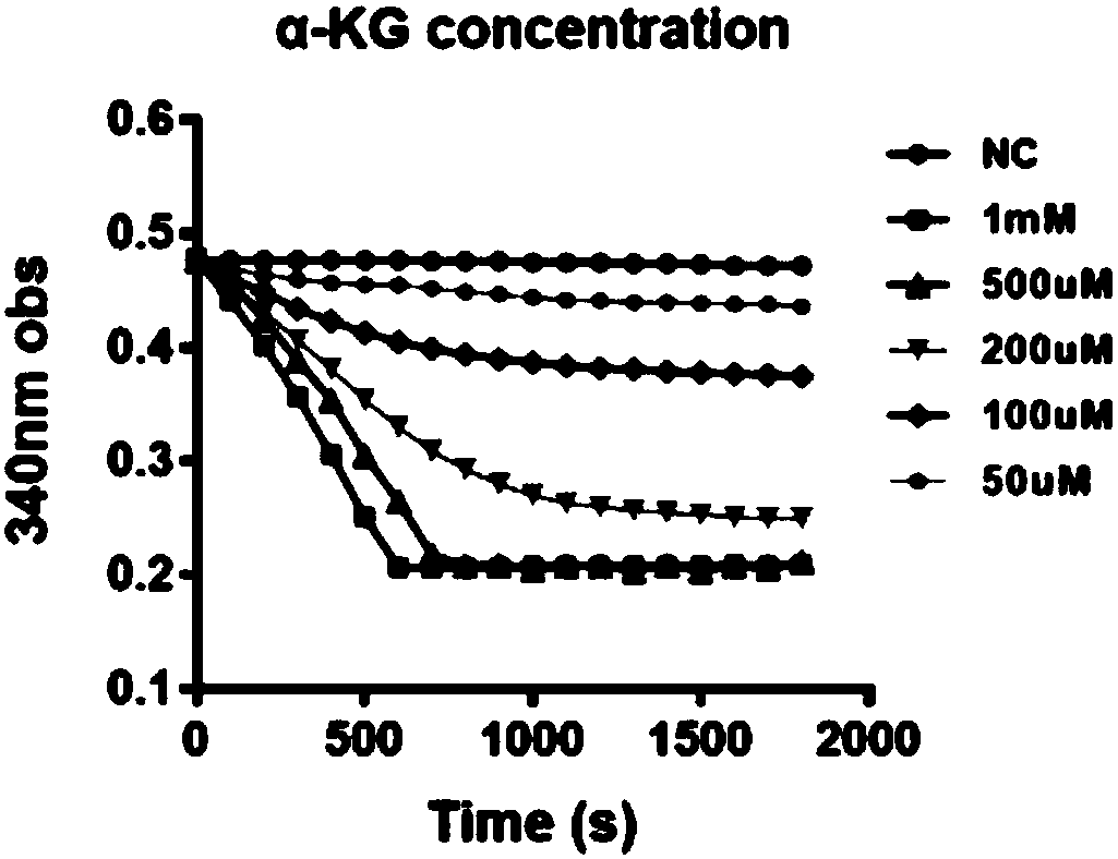 Enzyme activity detection kit for alpha-oxoglutarate dependent enzyme and application thereof