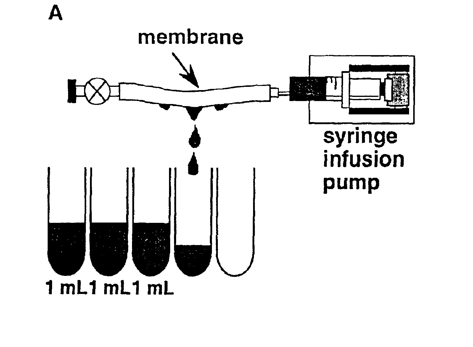 Methods for removal, purification, and concentration of viruses, and methods of therapy based thereupon