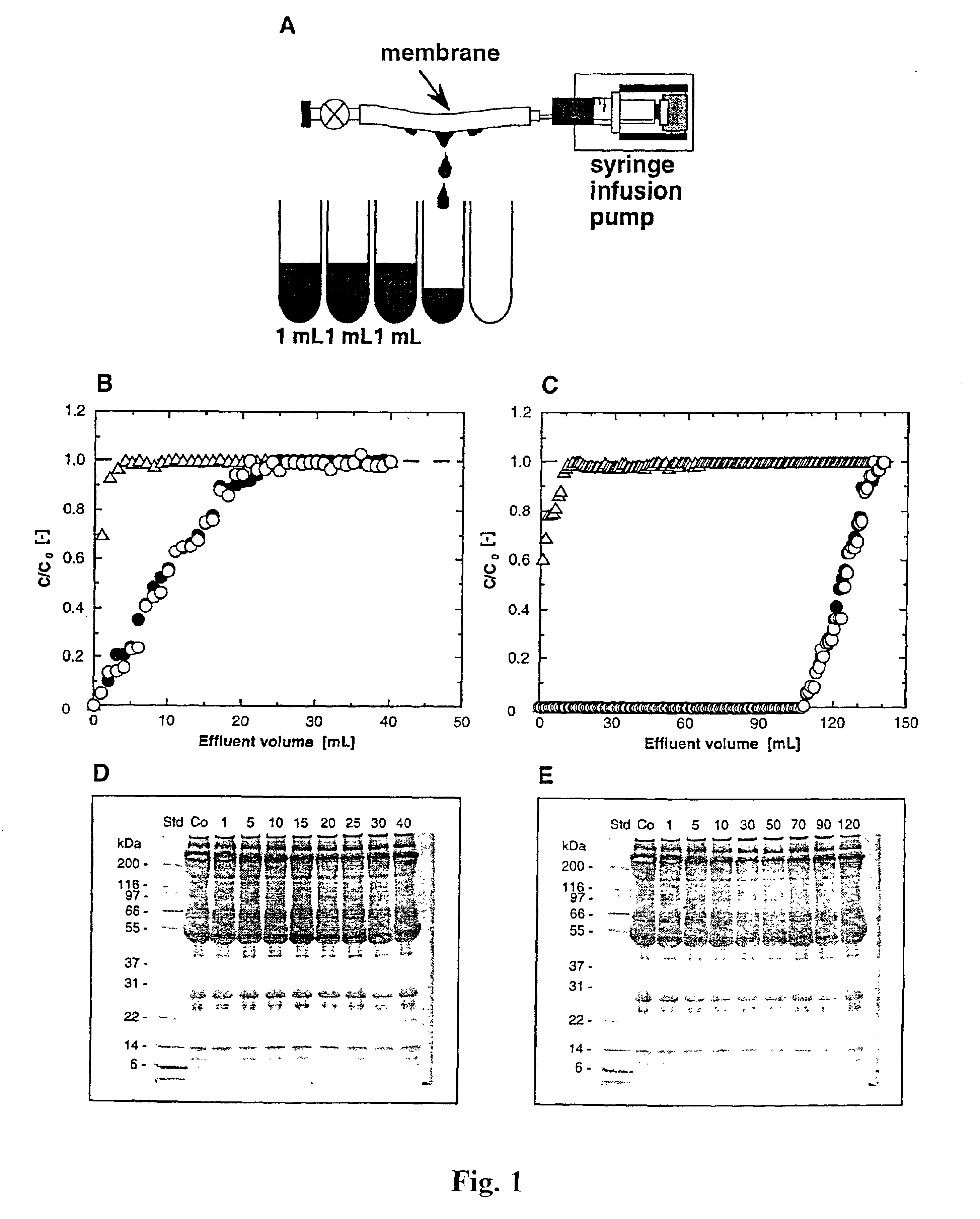 Methods for removal, purification, and concentration of viruses, and methods of therapy based thereupon