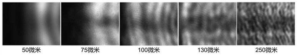 Miniaturized Polarized Point Diffraction Digital Holographic Microscopy Device Based on LED Illumination