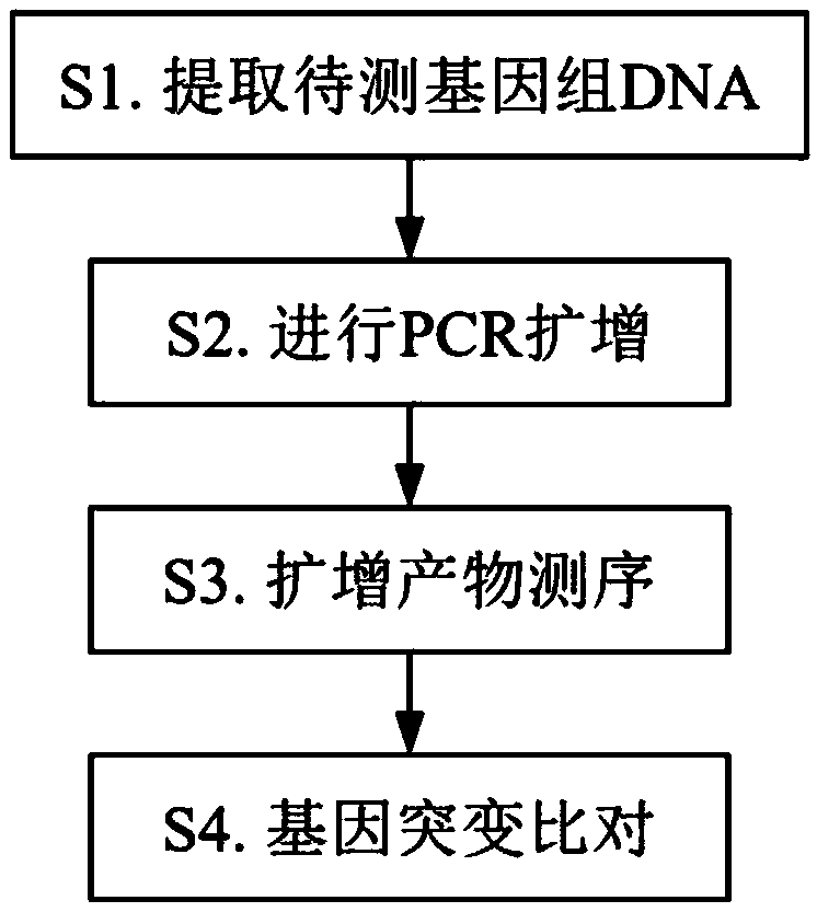 Detection kit for relapse and drug resistance gene mutation of acute lymphoblastic leukemia (ALL) and application method thereof